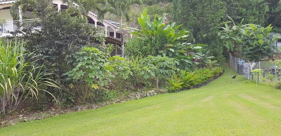 A Case An Nou Sainte-Anne (Grande-Terre)